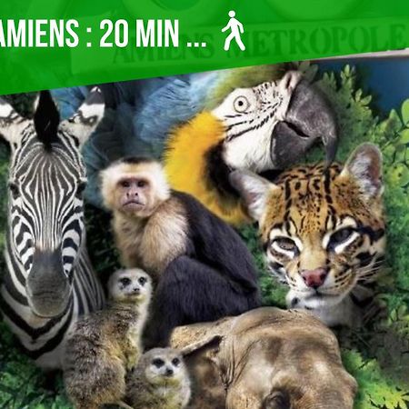 Duplex Safari Jusqu'A 4 Personnes, Spa, Cinema Et Lit Sous Les Arbres, Day Use, 10 Min Centre Amiens Exteriör bild