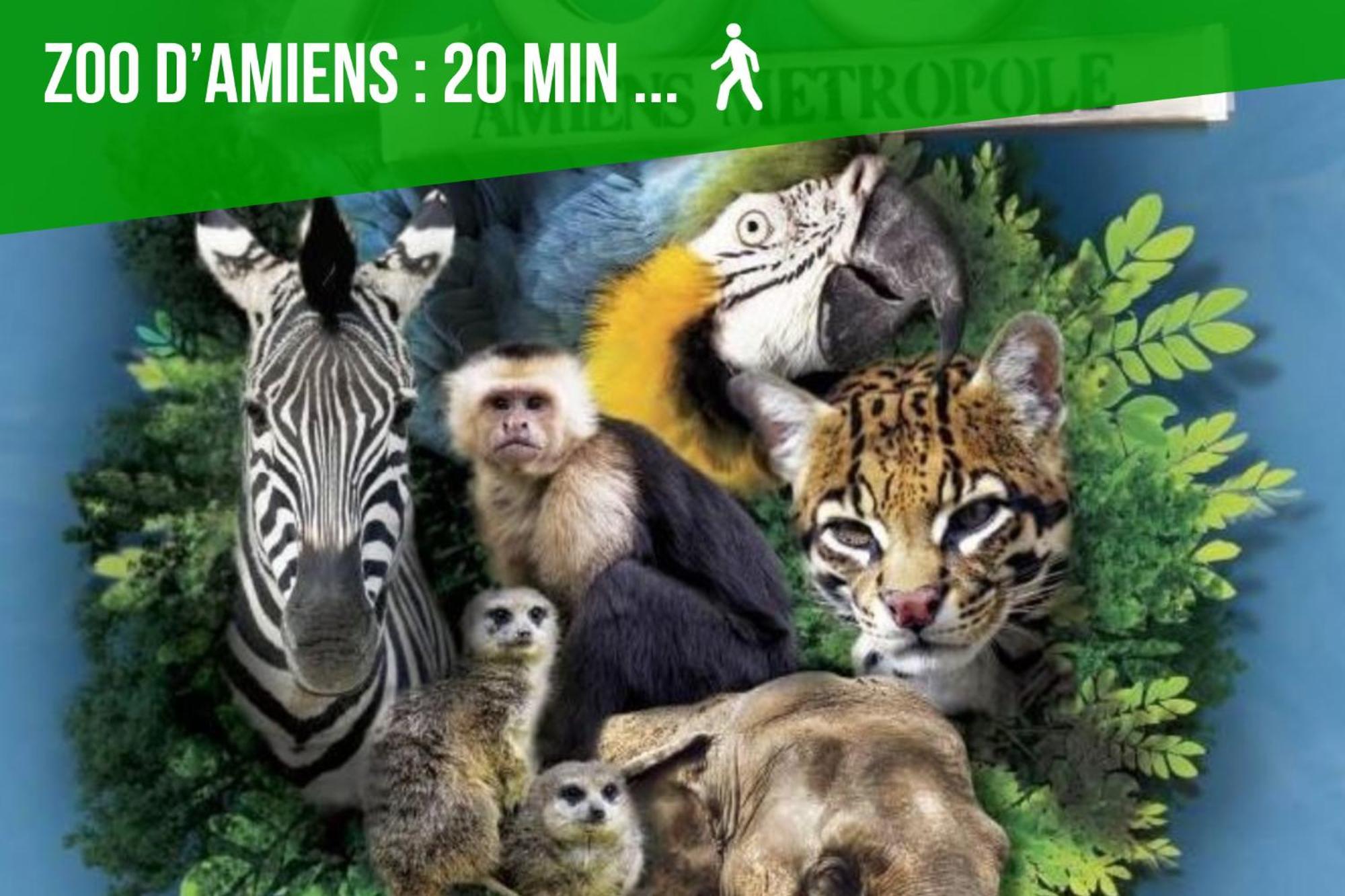 Duplex Safari Jusqu'A 4 Personnes, Spa, Cinema Et Lit Sous Les Arbres, Day Use, 10 Min Centre Amiens Exteriör bild